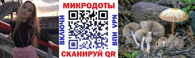 Купить закладки  Снежногорск  Псилоцибиновые грибы прущие грибы 